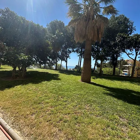 Niki New - After Renovation *